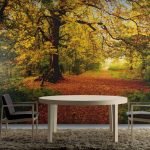 Bosque de otoño en el fondo de pantalla