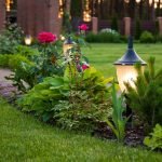 Luz del jardín