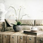 Orquídea sobre la mesa