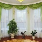 Plantas de interior en el interior.