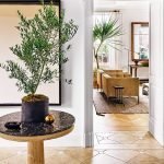 Plantas de interior en el interior.