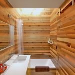 Cortina de baño