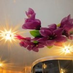 Plafón de orquídea