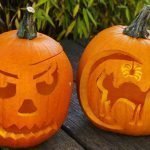 Luna y gato en calabaza