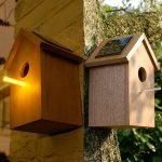 Retroiluminación Birdhouse