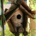 Birdhouse de álamo