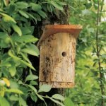 Casita para pájaros hecha de troncos