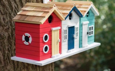 Pajarera de bricolaje: creación y decoración