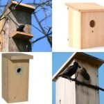 Cómo hacer una casa para pájaros con medios improvisados