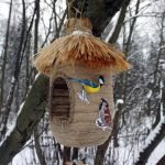 Comedero para pájaros