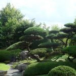 Arboles en el jardin