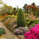 Rocalla en el jardín