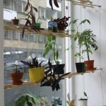 Estantes para flores