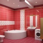 Baño blanco y rojo