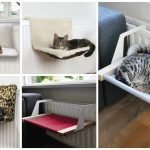 Variedades de hamacas para gatos
