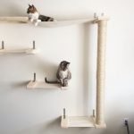Complejo de juegos y una hamaca para un gato.