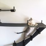 Complejo para jugar gatos