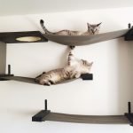 Hamacas de pared para gatos