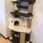 Complejo de juegos de gato marrón-beige