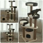 Complejo de juegos para un gato con hamacas