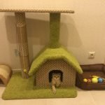 Complejo de juegos para un gato con cabina