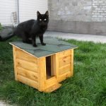 Gato negro en la cabina