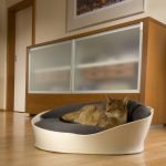 Comprar tumbona de gato
