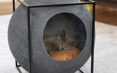 Casa del gato de bricolaje