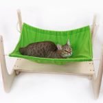 Hamaca verde para gato