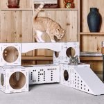 Complejo de juegos con una casa de cartón para un gato.