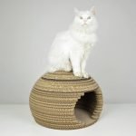 Gato en una casa de cartón corrugado