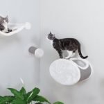 Complejo de juegos para gatos en el interior del salón