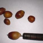 Bellotas perforadas