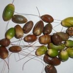 Pase el alambre