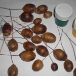 Pintura