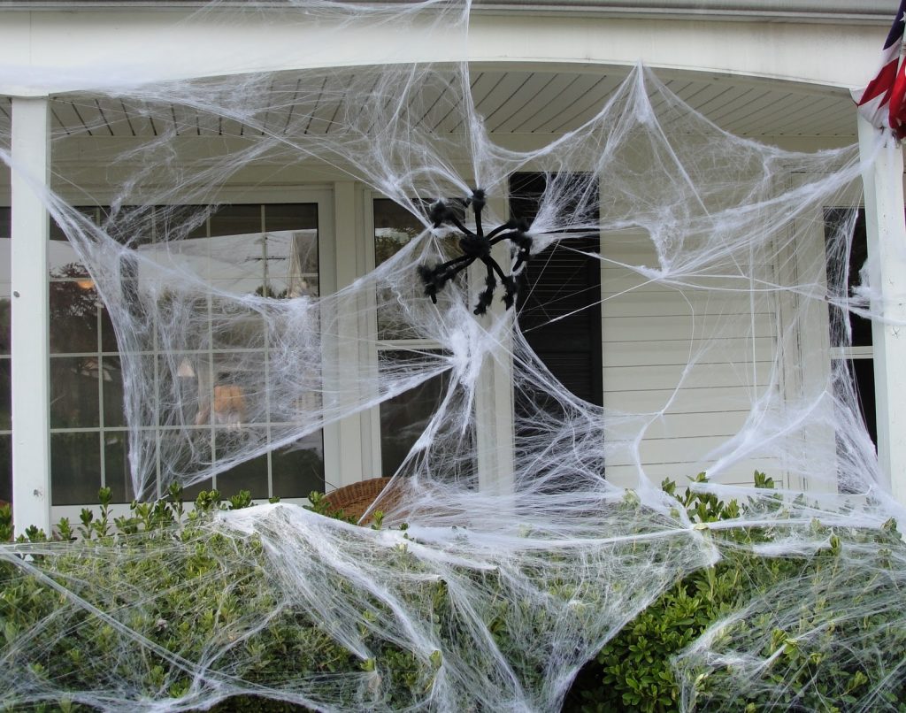Web Porche