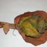 Alrededor de cada brote envolvemos una hoja