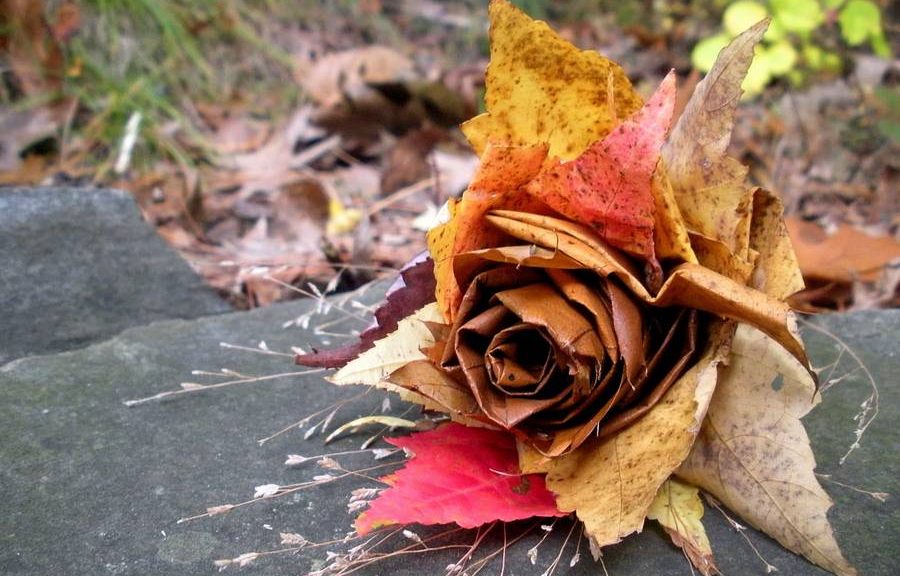 Kézműves a levelek