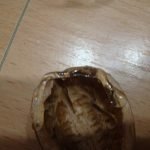 Aplicar pegamento a la cáscara de nuez