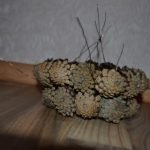 Conectamos los anillos con alambre