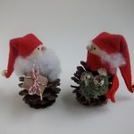 Gnomos
