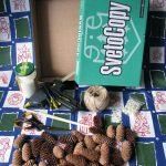 Materiales requeridos