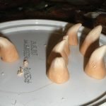 Hacemos dientes de plástico autoendurecible