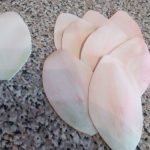 Teñimos los pétalos