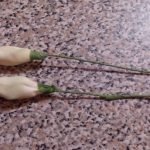 Pegue los espacios en blanco con los mismos pétalos que el brote