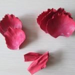 Formamos los pétalos
