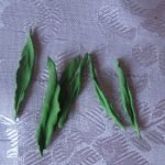 Gíralos