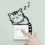 Gatito en el interruptor
