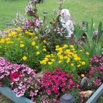 Cama de flores florecientes
