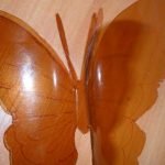 Con un bolígrafo, dibuja patrones en las alas.